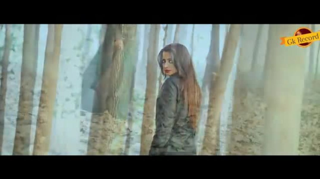 Zeher_-_Video_Song___Raju_Punjabi___Mehar_Risky___Vr_Bros___Dj_Mix___Haryanvi_Songs___FFR_Haryanvi(3