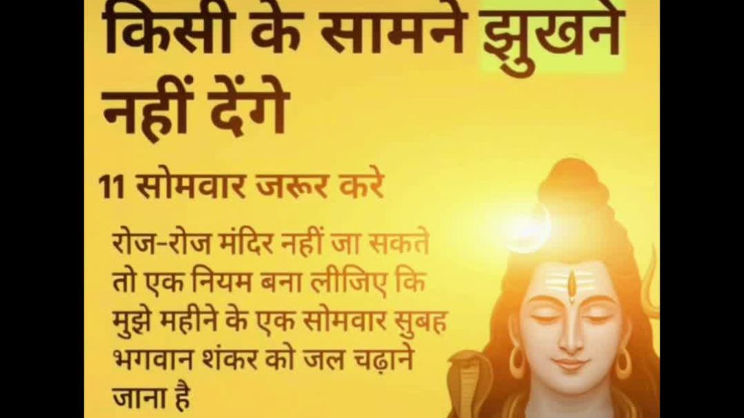 InShot_20251208_054119513