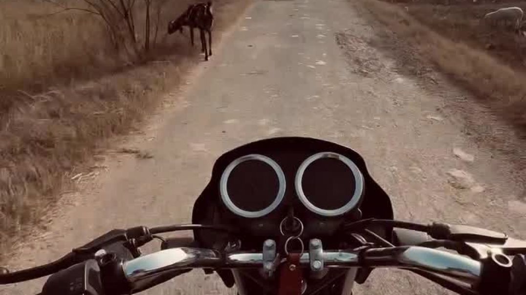 ⁣New_reel_❤️‍🩹_@nambardarsallu___#popular_#instagram_#viral_#mewatiy__#trendingreels_#trending_#newpo