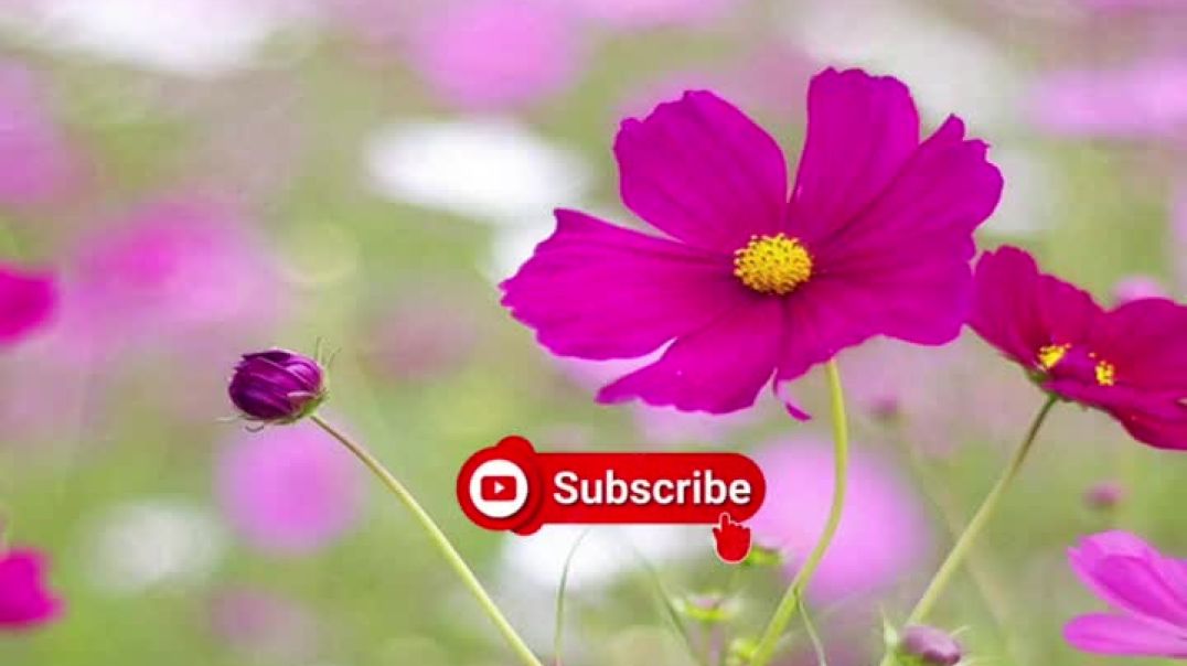 ⁣💪_जो आज थक गया… वो कल जीत नहीं पाएगा!_📚  #motivationalquotes #motivational #motivation