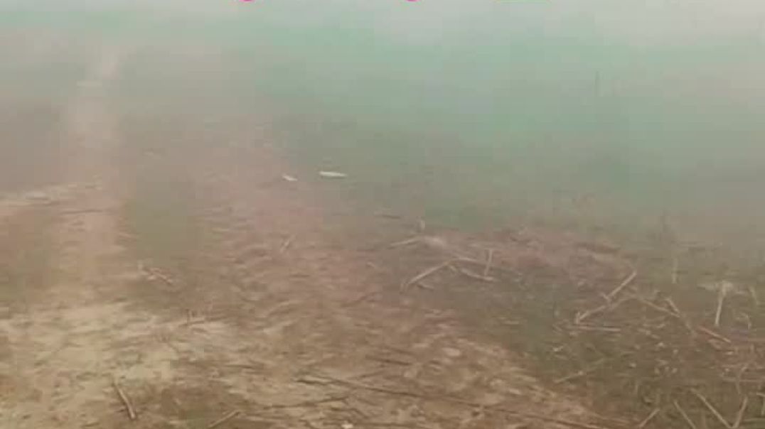 AQOb5CMnOaUvybEOf6_5ML4XrLnXOsNgm2zWAgiDF58HWLP-iyPS6IHIBni243Dh3l95m5s7lqnr516wtOK0EZGG6AIp3qqZ