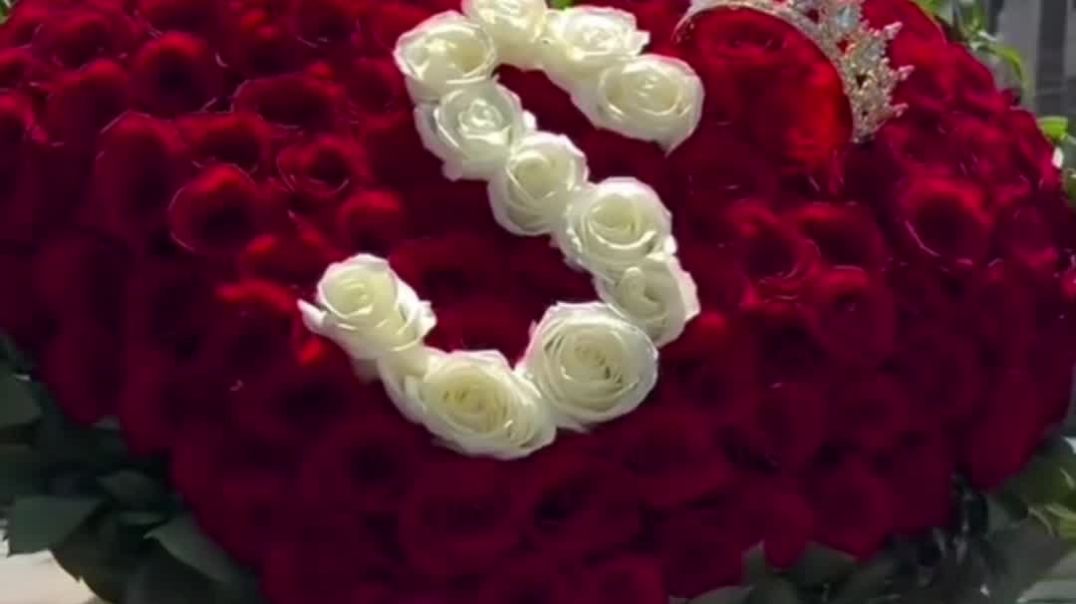 VID_20251115_020305_480