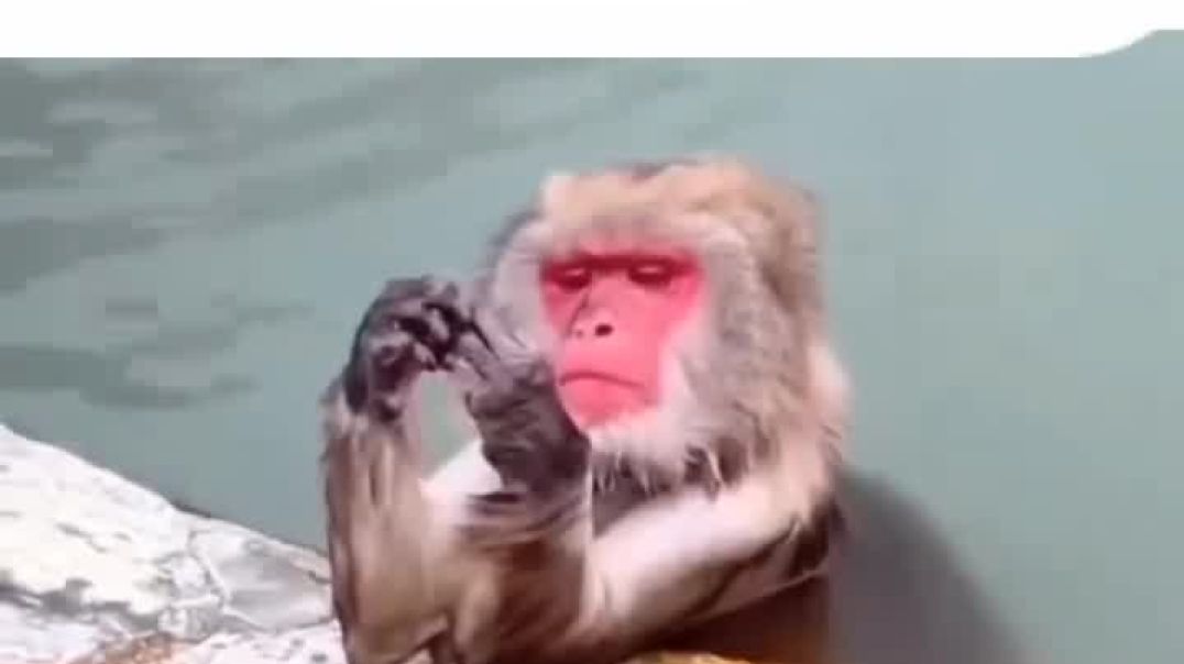 ⁣Gyan de rahe mama