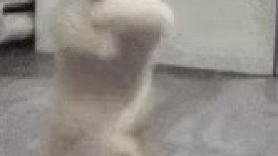 ⁣VID-20251208-WA0002