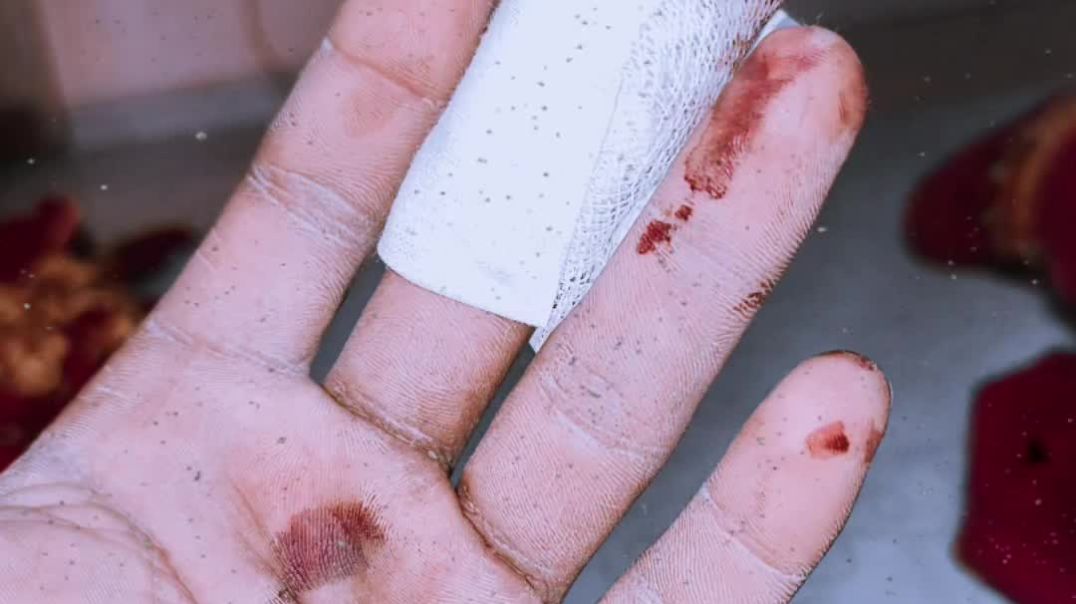 VID_20251206_025526_540