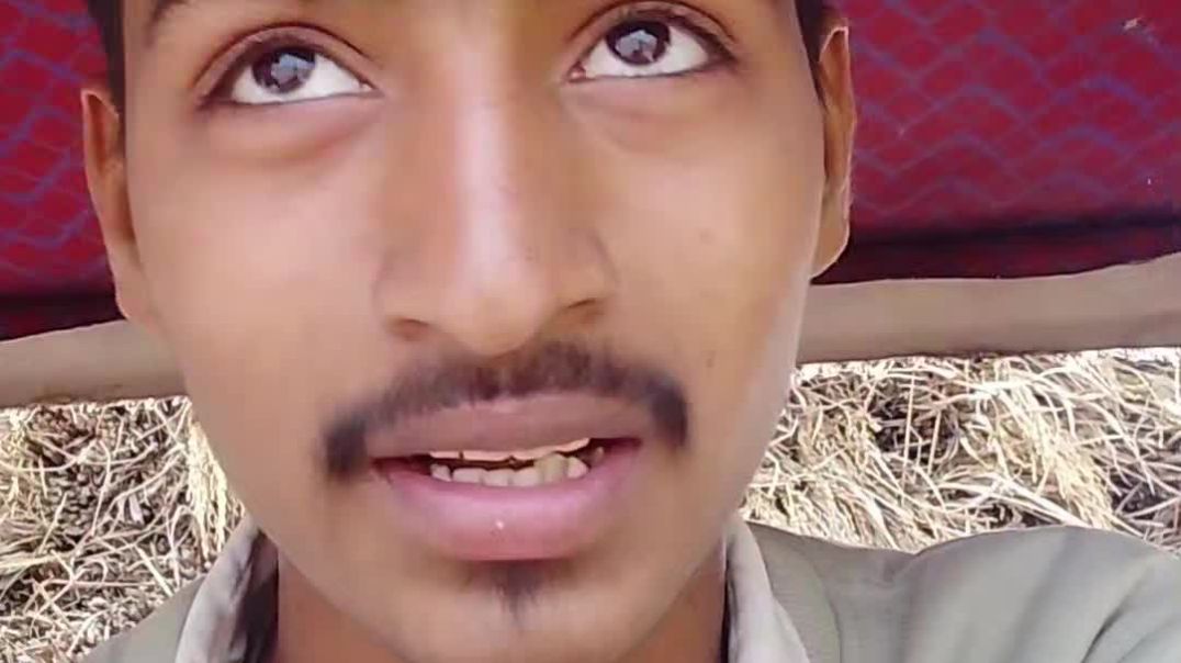 VID_20251207_233438_139_bsl