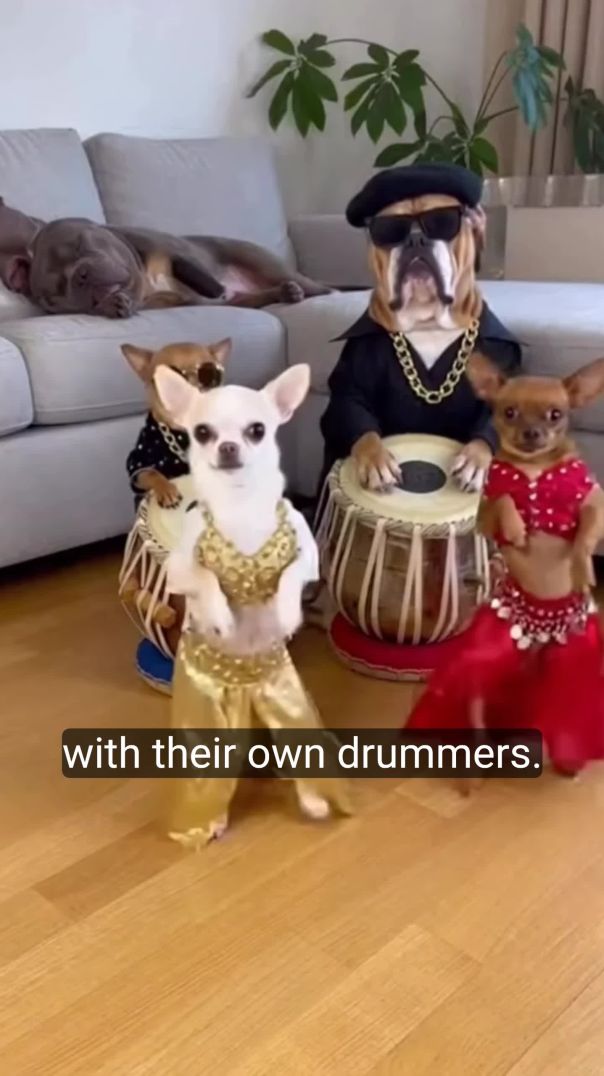 When the Backup Dancer Steals the Show dancers #trending