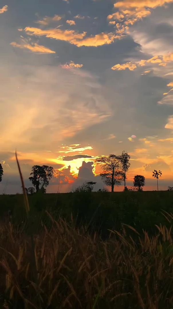 From KlickPin CF Pin by Pashke on art in 2025 _ Dark nature aesthetic Aesthetic videos sky sunsets B