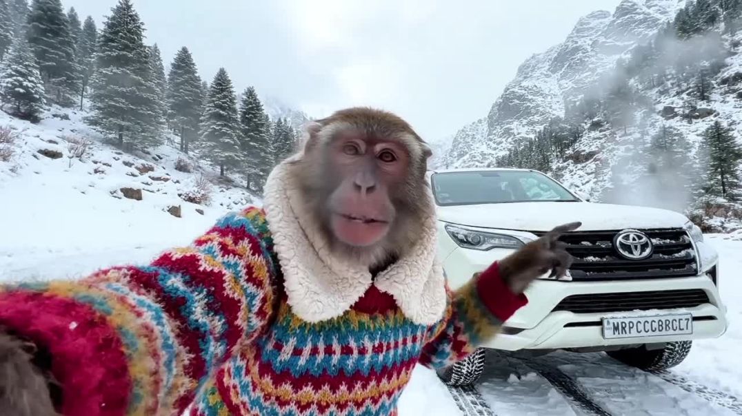 ⁣🔥 Manali में Vlog की धमाकेदार शुरुआत! बड़ी खुशखबरी के साथ 🚗❄️🐒