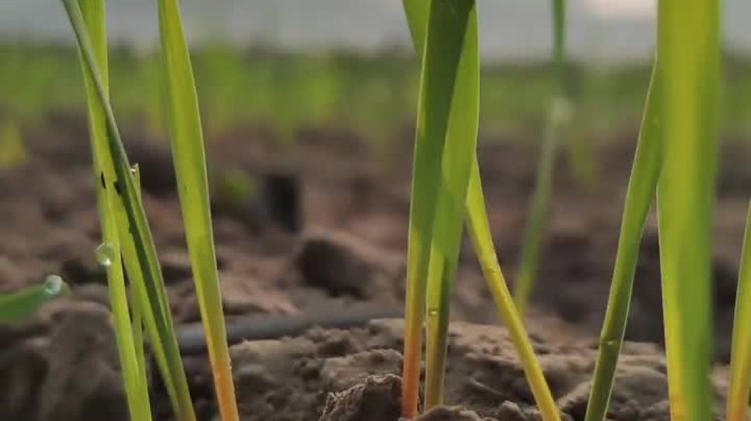 ⁣VID-20251113-WA0005