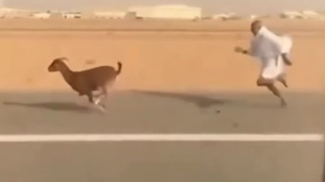 VID_20251227_061719_358