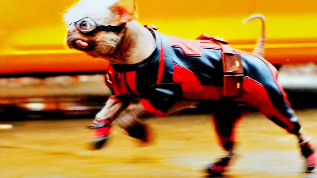 ⁣The walk.The aura. The Dance.#akshaykhanna in Dhurandhar#newmovie#newsong#trendingshorts#new