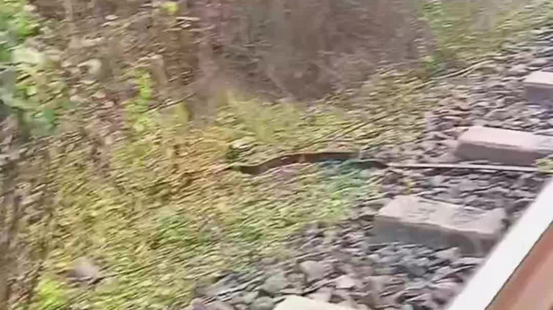 ⁣Rail patari ka vlogs video