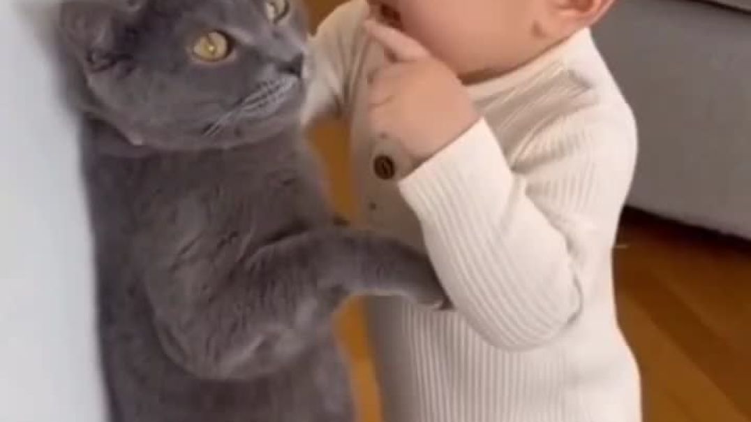 ⁣Ek Billi ne sher ko dara kar bhagaya