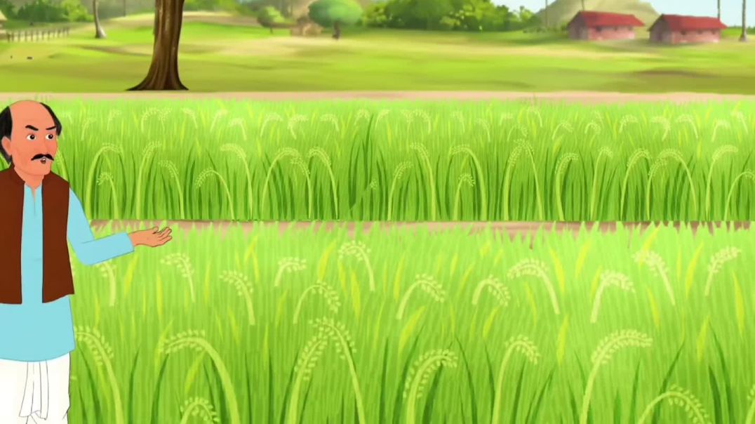 ⁣Mohan Ki fasal is bar acchi Hui Hai part  1