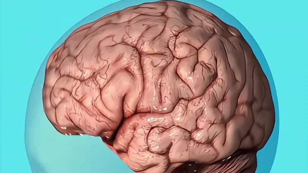 ⁣बच्चे पैदा कैसे होते है