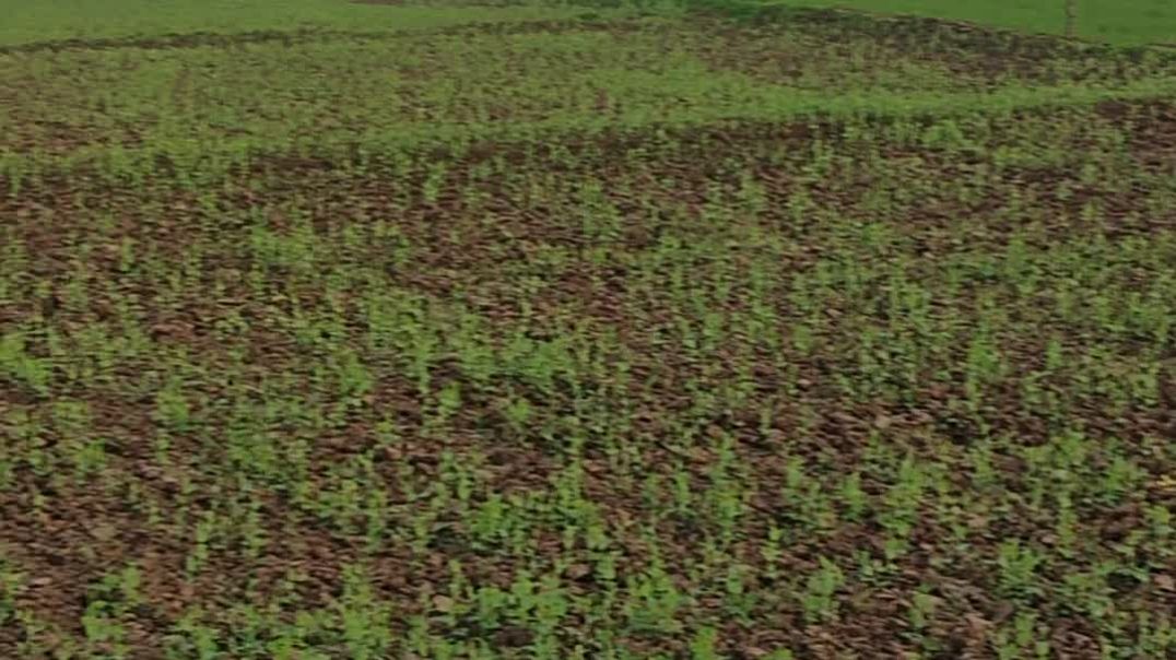 ⁣Beautiful scenery