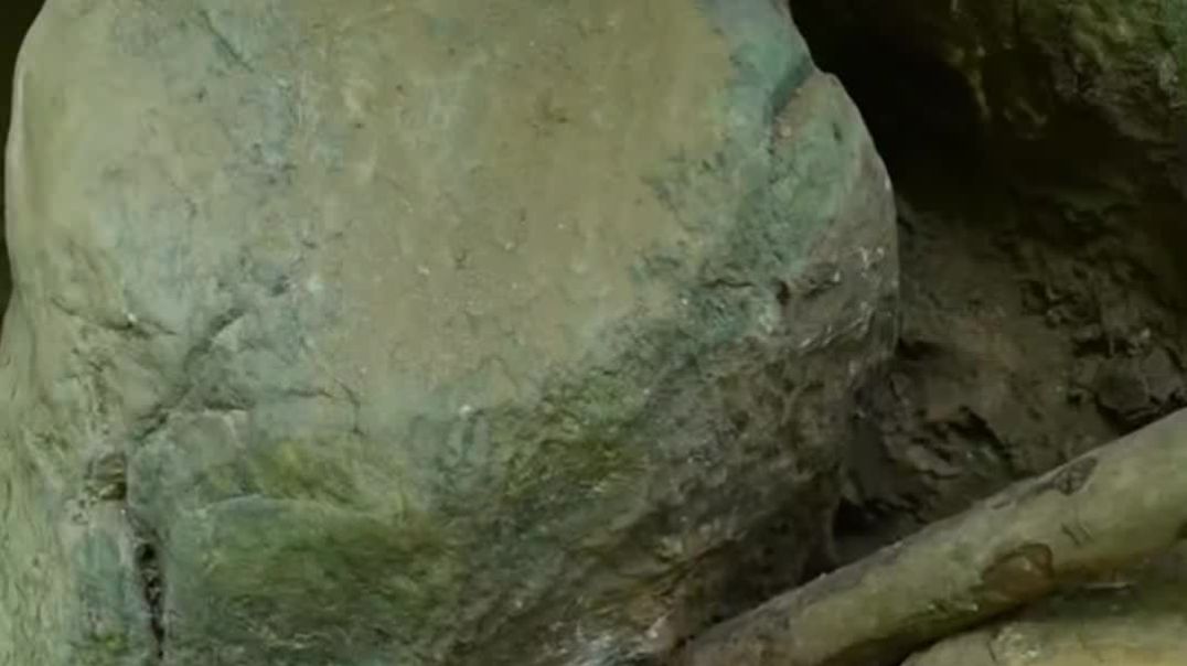 VID_20251207_181047_282_bsl