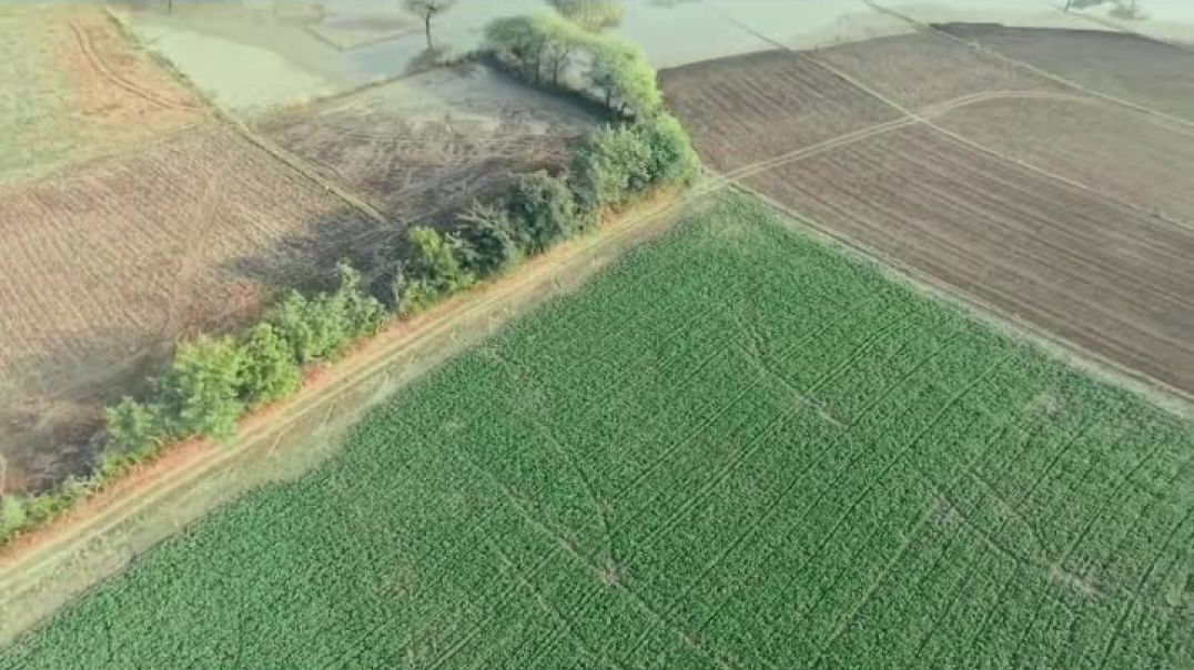 VID_20251202_044724_944