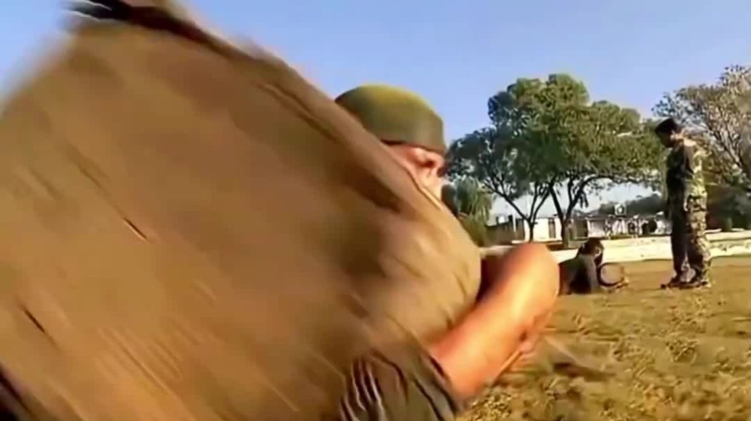 ⁣Indian Special Forces #armywhatsappstatus #commando #parasf #specialforces #military #indianarmy #rr