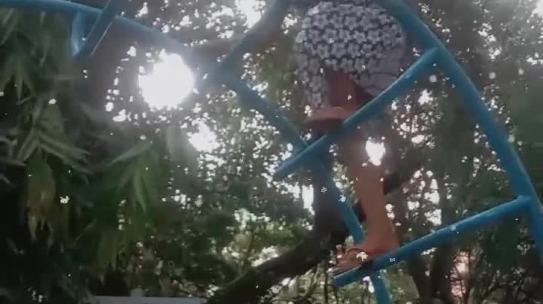 VID_20251214_023125_410