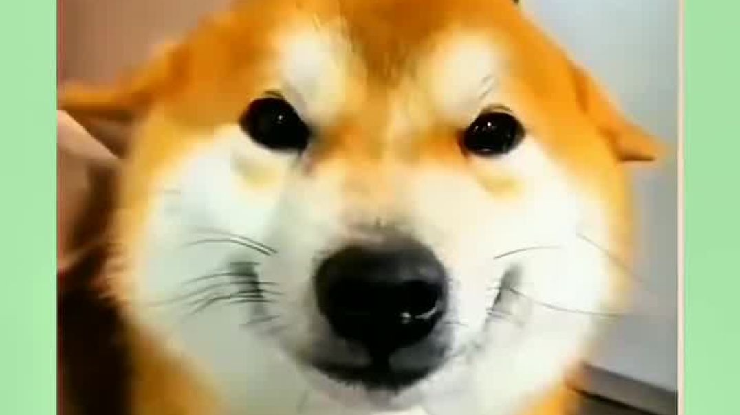 ⁣New Funny Video 😂♥️😘 #funny #trending #memes #cartoon #video