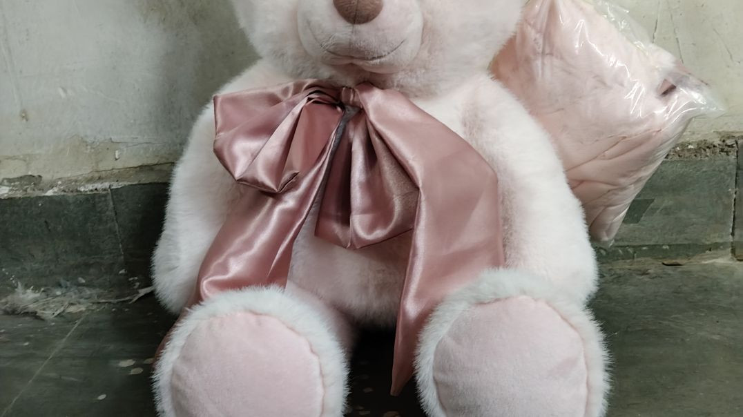 VID_20251028_094147_428