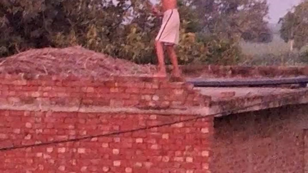 ⁣छत से गिर गया 😱 bechara #shorts #trending #viral #viralvideo #viralshorts #trendingshorts #video