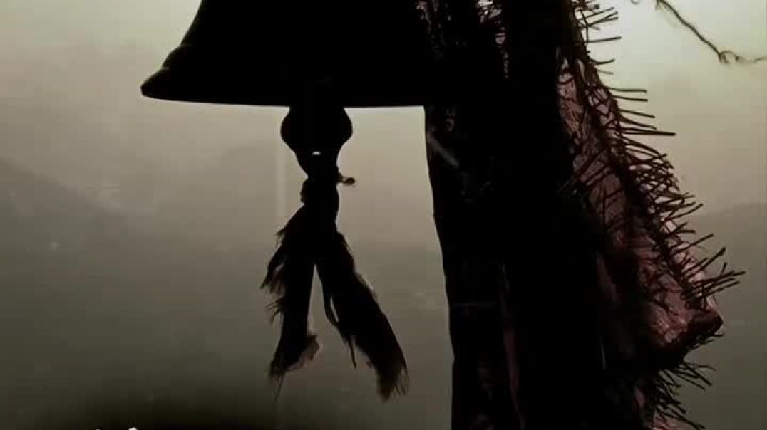 VID_20251115_135603_674