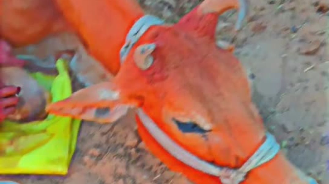 ⁣Snapchat-931015104