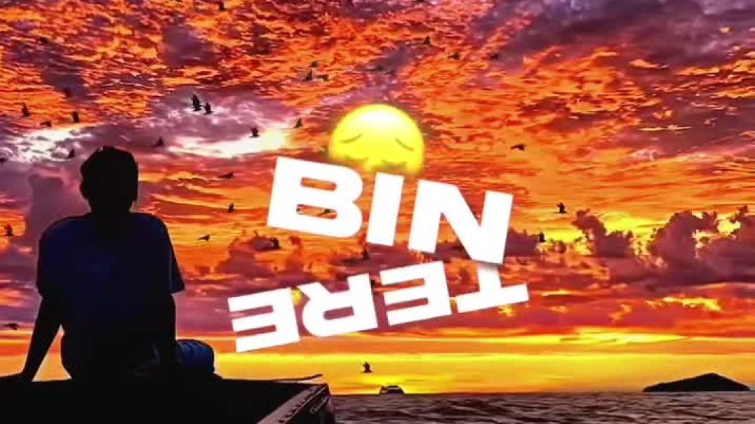 ⁣मैं तेरे इश्क में गुमराह हुआ 💔