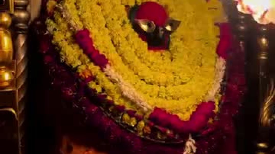 ⁣VID-20251216-WA0006