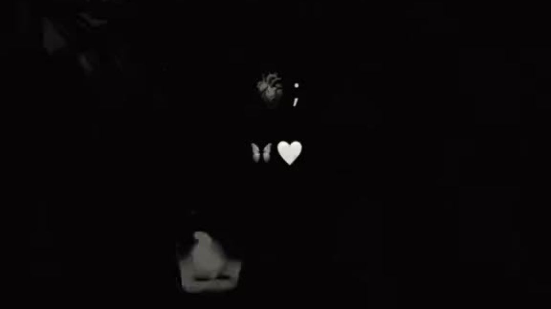 ⁣VID-20251110-WA0003