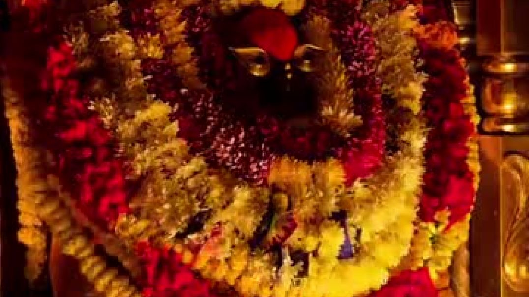 ⁣Plz subscribe my channel