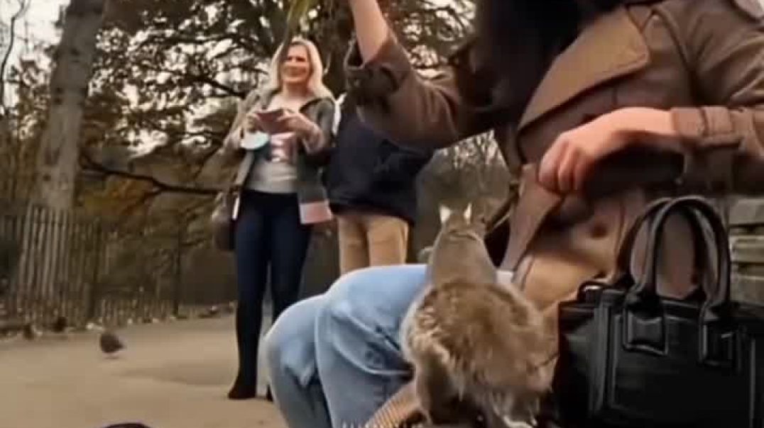 ⁣Disney princess moment spotted 😭💝