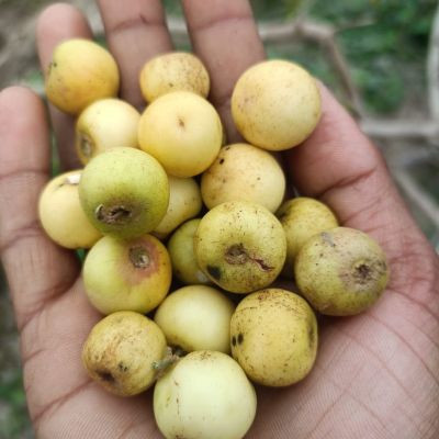 111950102734274512864 