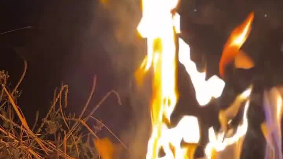 VID_20251213_051452_357