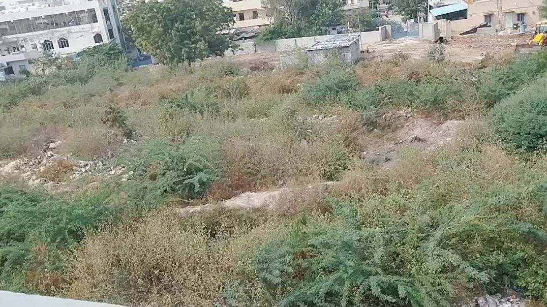 ⁣जंगल की सफाई किया जाय रहा हैं JCB से