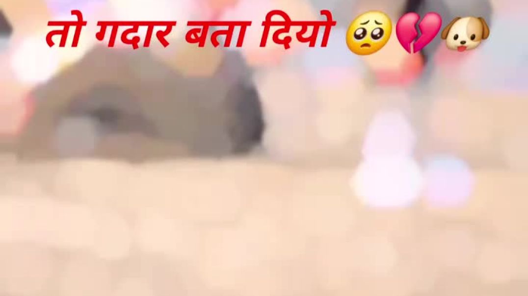 ⁣Chouhan king viral video shorts Chouhan king 🤴 ♥️ 🙌 👏 👌