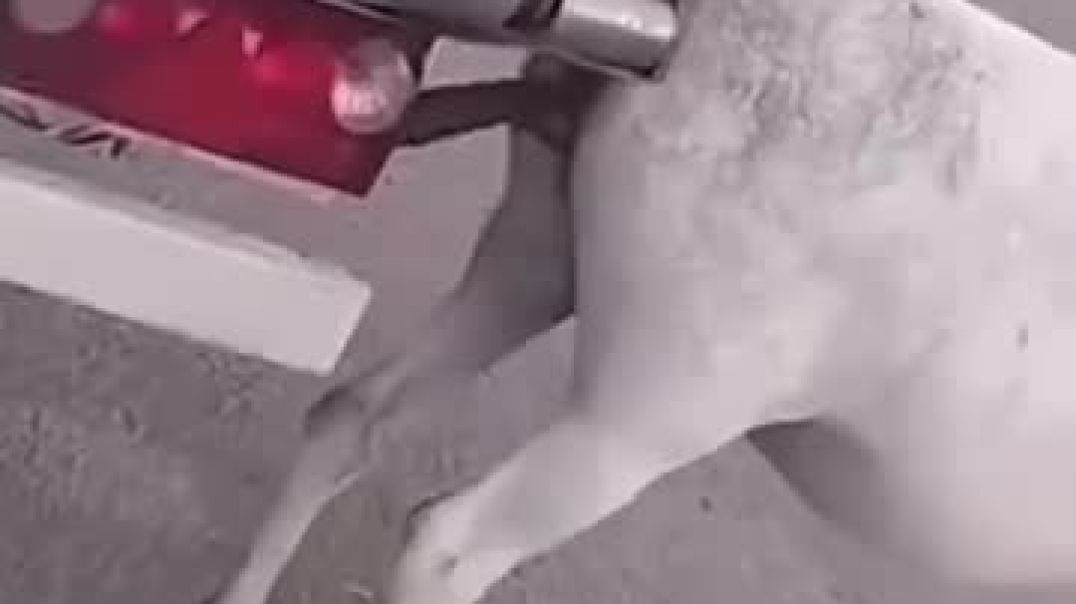 ⁣Masti masala time video cilp for watching injoy