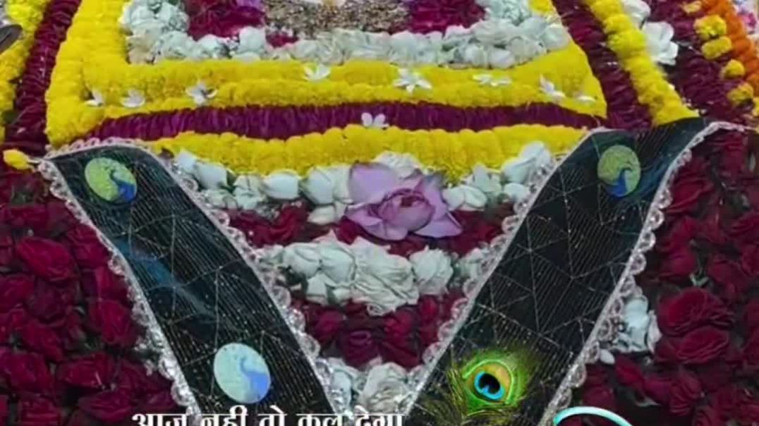 VID_20251115_045346_153