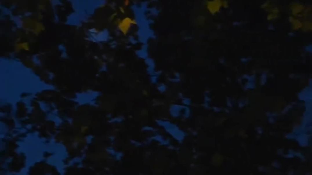 ⁣VID-20251223-WA0006