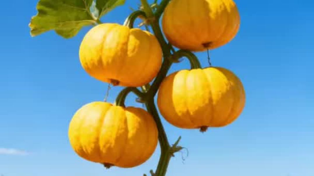 ⁣एक औरत की गलती से ये क्या हो गया 🤯