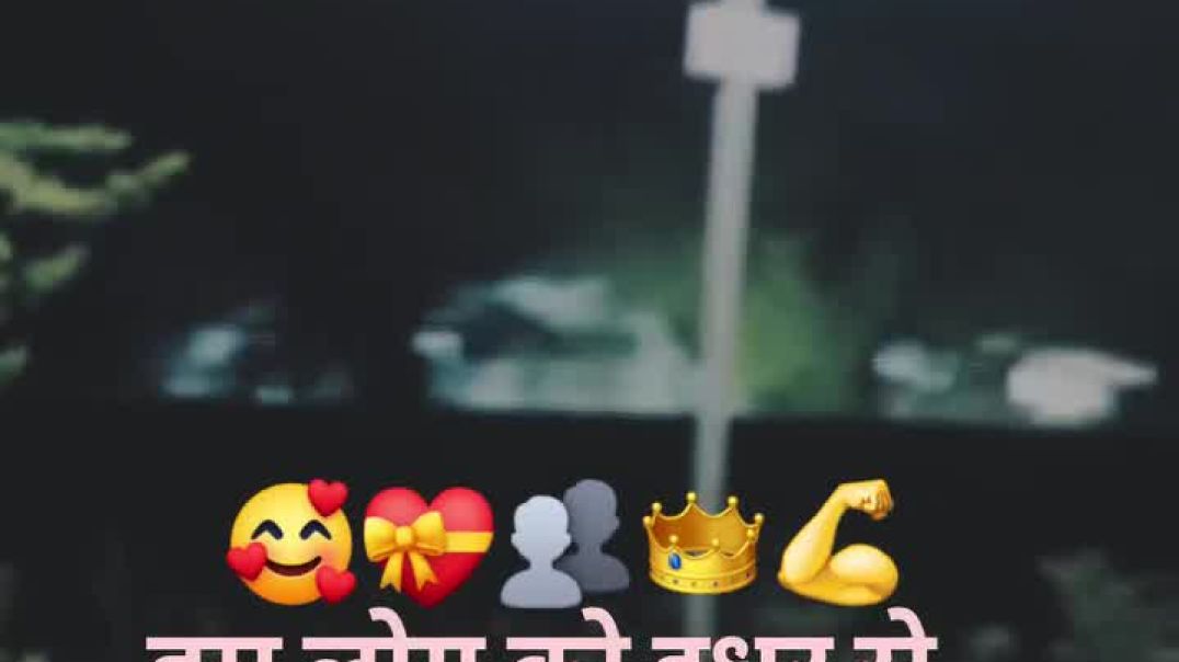 FB_VID_8137757341682253099