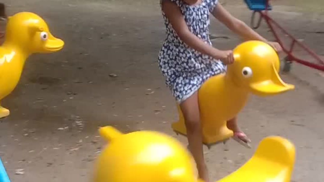 video_20250731_142904