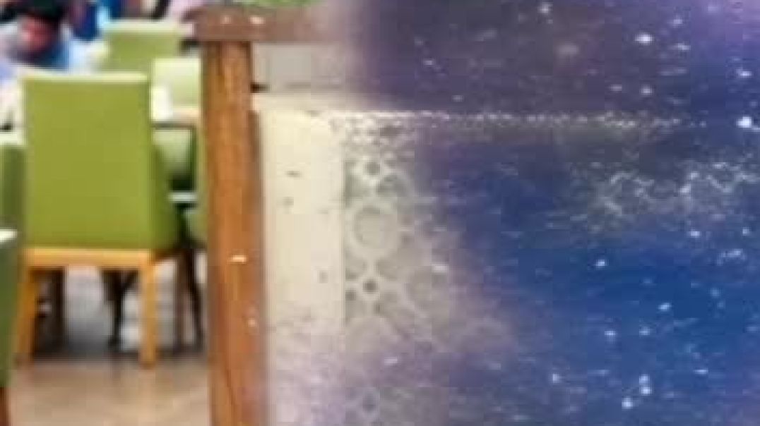 video_20251208_083846_edit