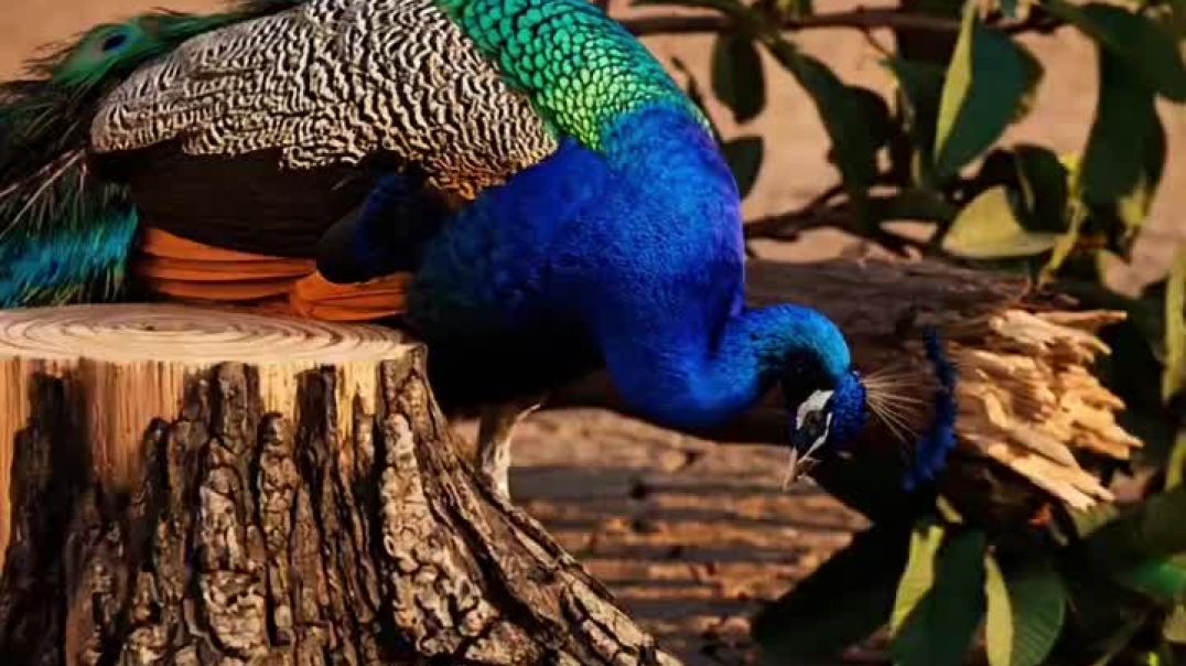 da62863e-e76e-4d59-afee-4212f302bb39