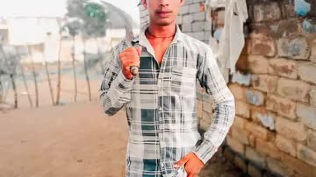 FB_VID_376508398372749411