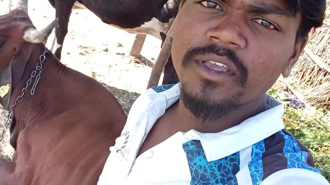 ⁣मेरी 3 Tata Sierra आपको चौंका देंगी! 🔥#TataSierraViral #VideoViralTips #ContentCreator