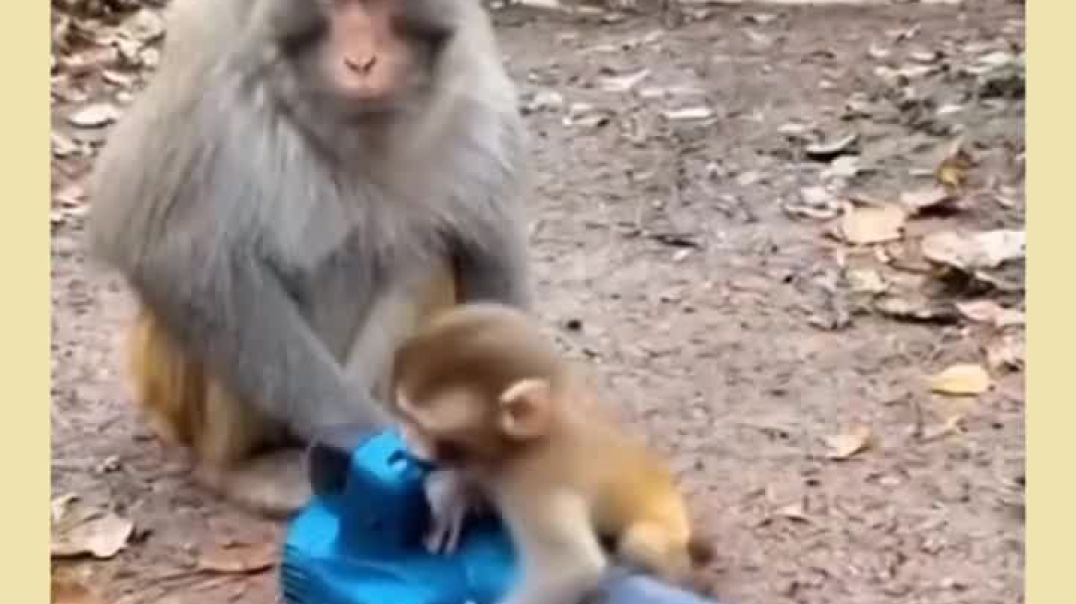 ⁣Comedy video ।। Comedy clip । funny video 🤣 #comedy